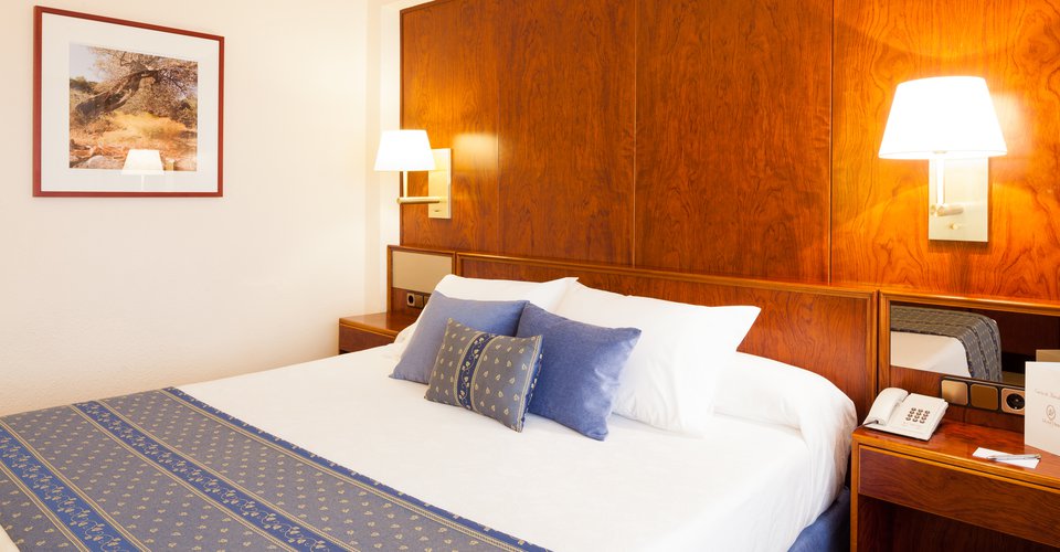Superior Single Use Double Room 1 pax