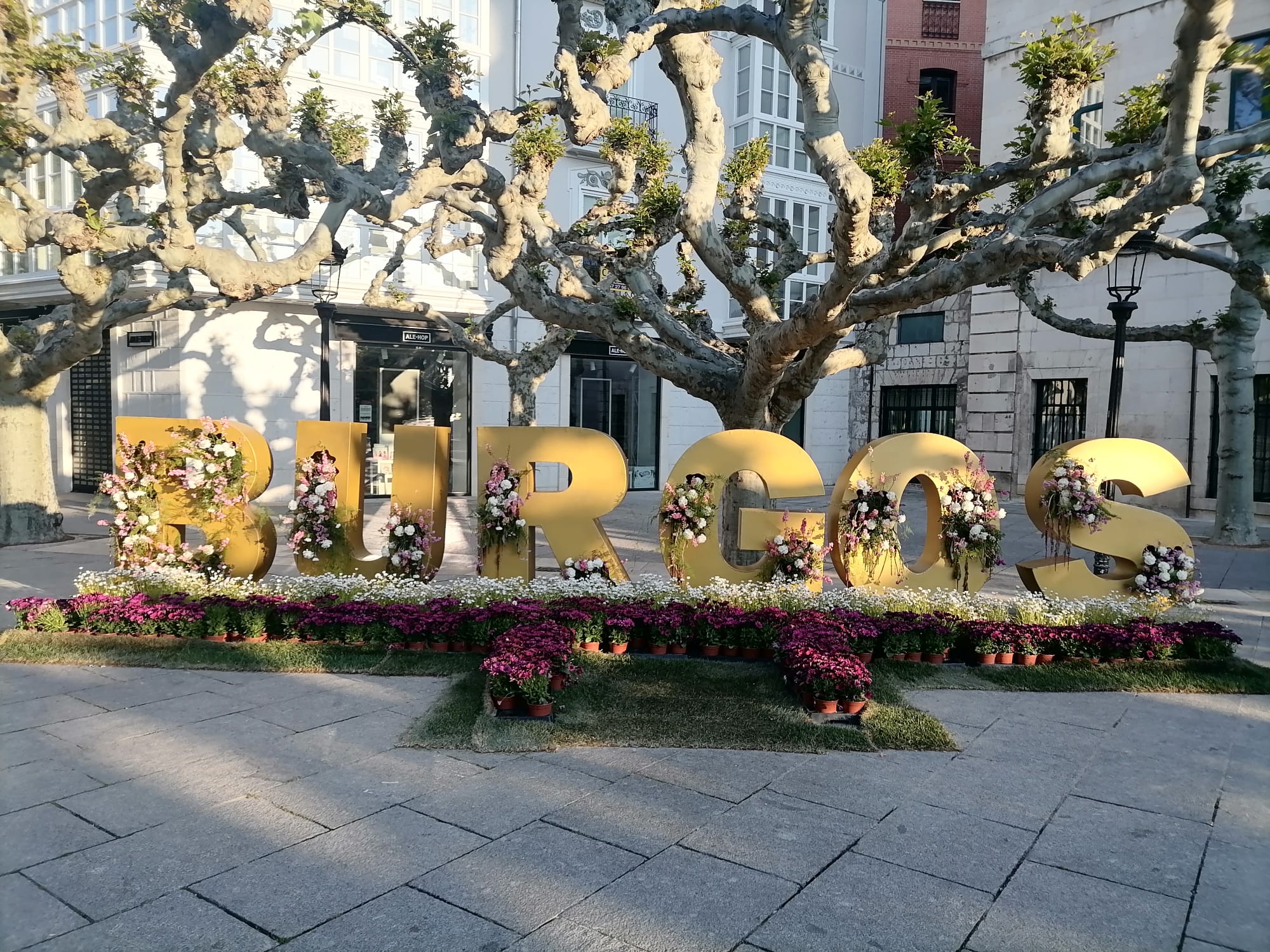Imagen: burgos