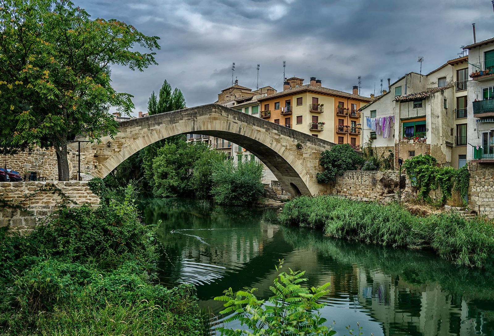 Imagen: estella