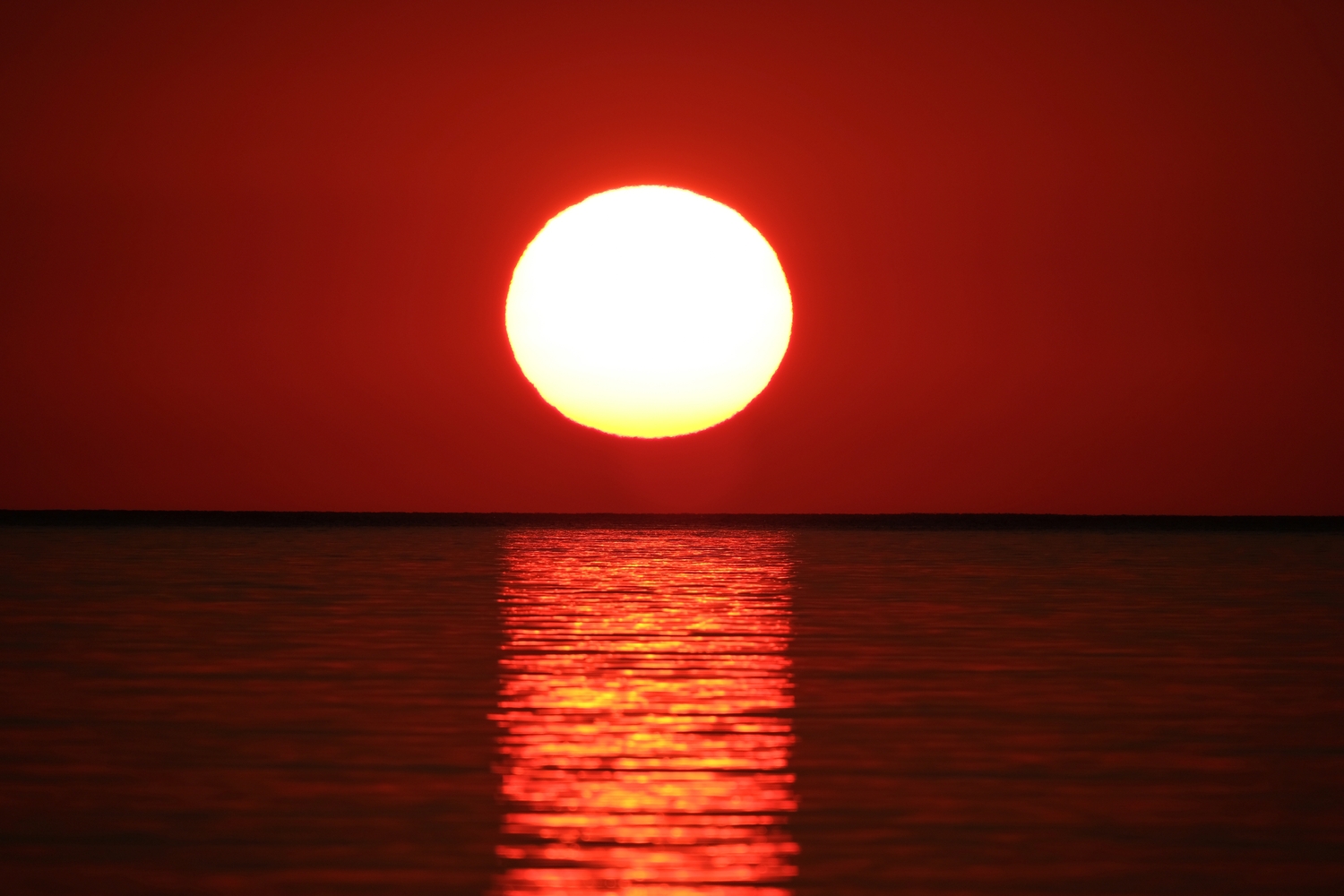 Imagen: https://images.neobookings.com/cms/aldahotels.es/section/como-ver-el-eclipse-solar-de-2026-de-forma-segura/pics/como-ver-el-eclipse-solar-de-2026-de-forma-segura-37g6h3q9y2vnmy.jpeg