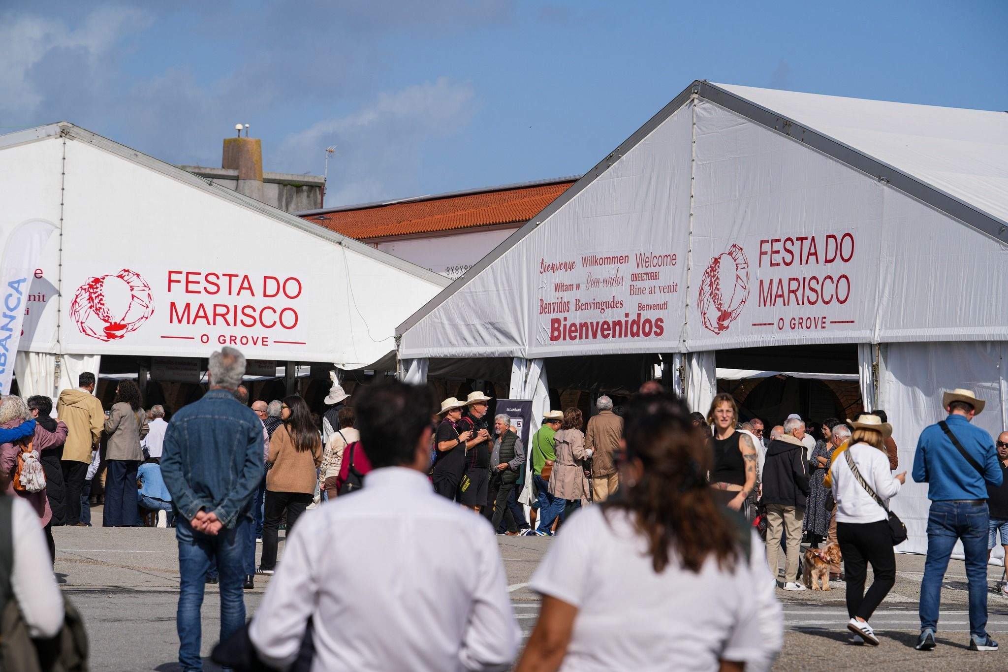 Imagen: festa-do-marisco-grove