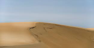 Imagen: dunas-corrubedo