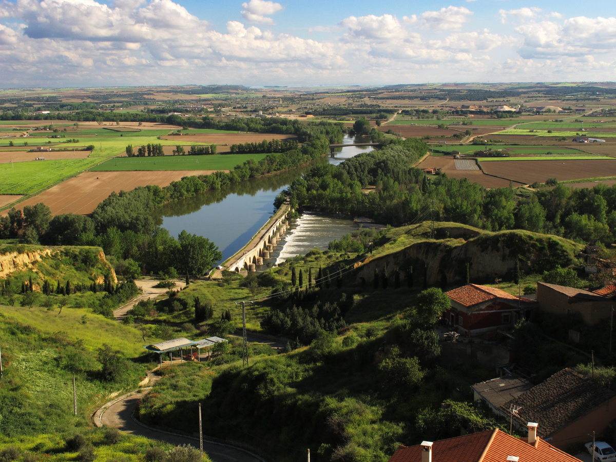 Imagen: https://images.neobookings.com/cms/aldahotels.es/section/toro-un-destino-con-esencia-propia/pics/toro-un-destino-con-esencia-propia-61en4j9wk3.jpeg