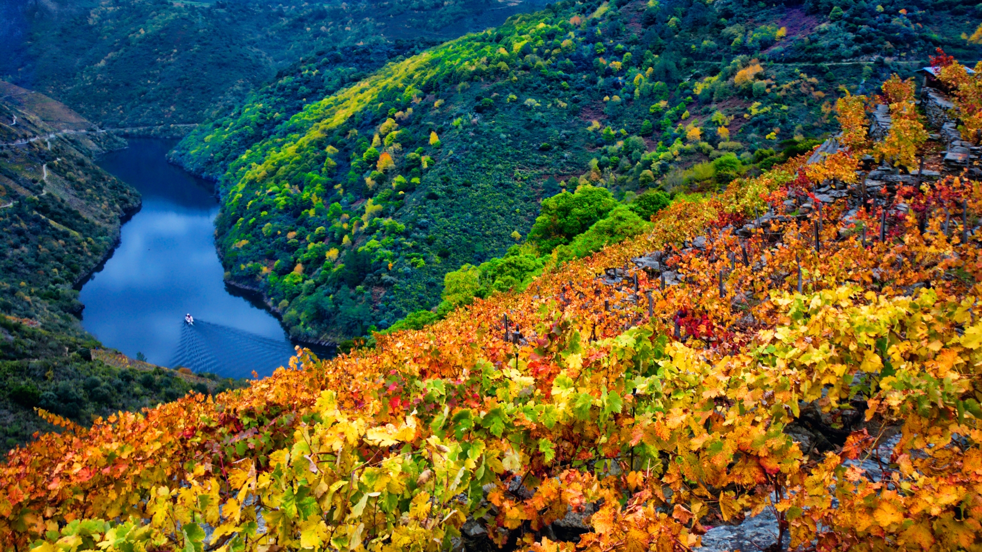 Ribeira Sacra