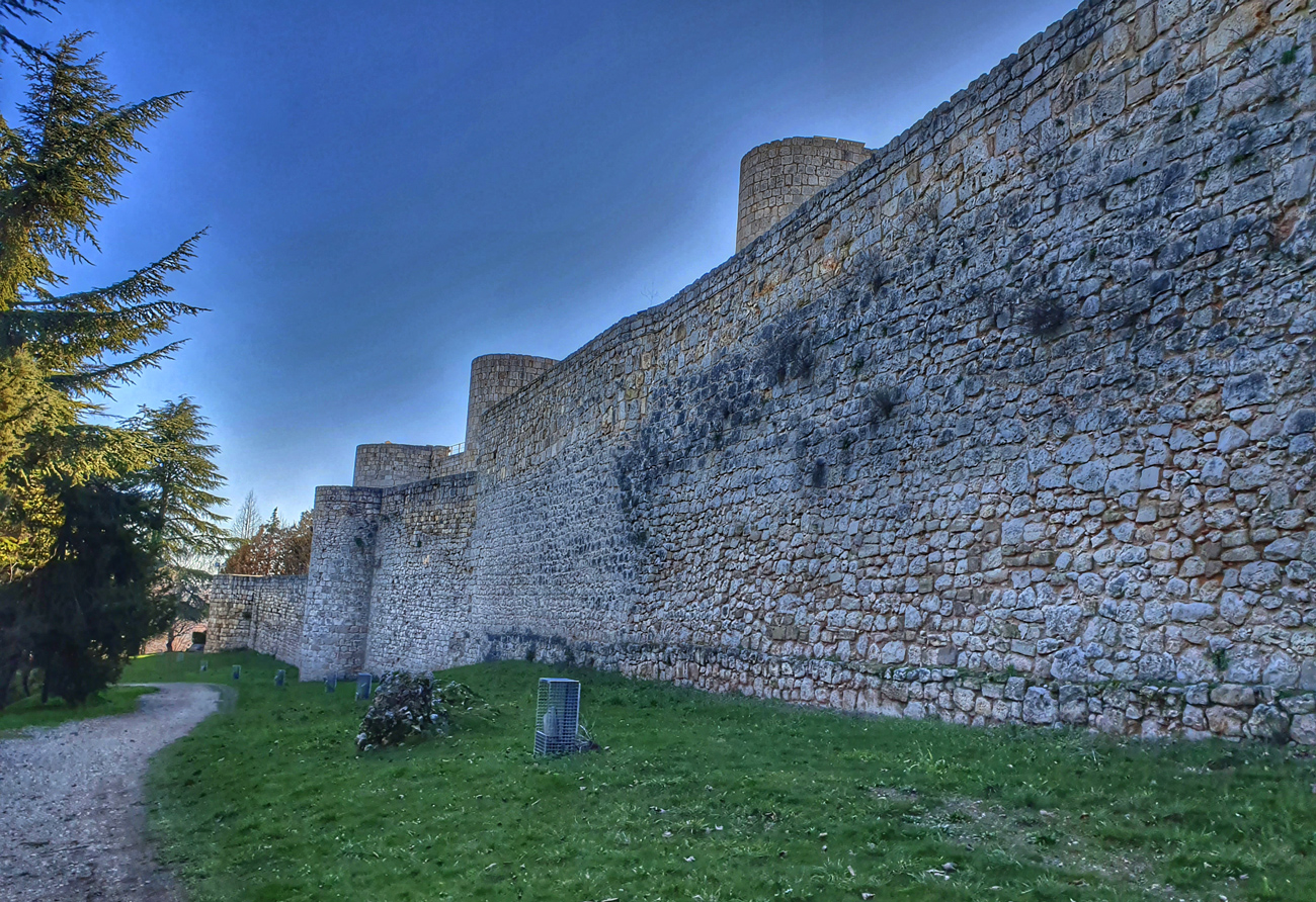 Castillo de Burgos