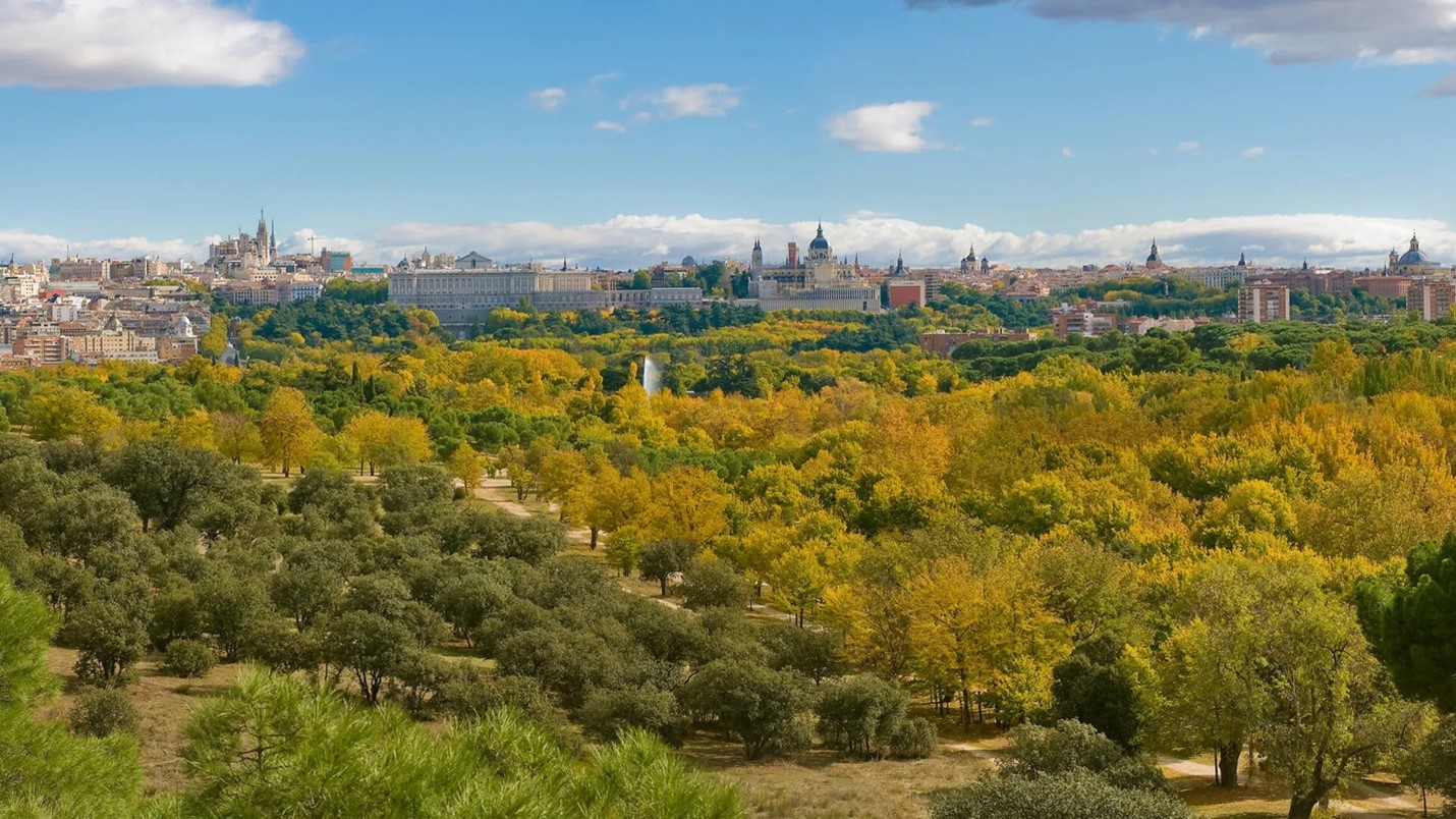 Imagen: https://images.neobookings.com/cms/umusic-hotels.com/section/scenic-running-routes-from-umusic-hotel-madrid/pics/scenic-running-routes-from-umusic-hotel-madrid-nkw6y3mevz.jpeg